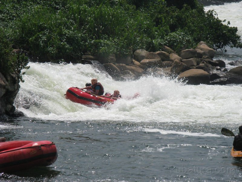 676 664 IMG_2795.jpg